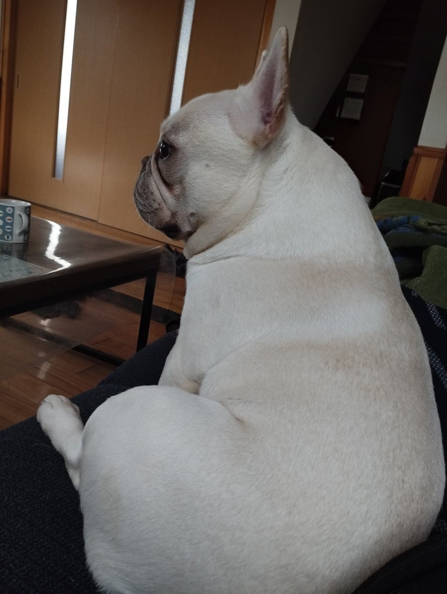 はまちゃん🩲 tweet media