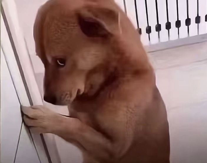 𝗽𝗮𝗿𝗮𝗮²⁶ 🧃⭐🐟🧁 ♡ tweet media