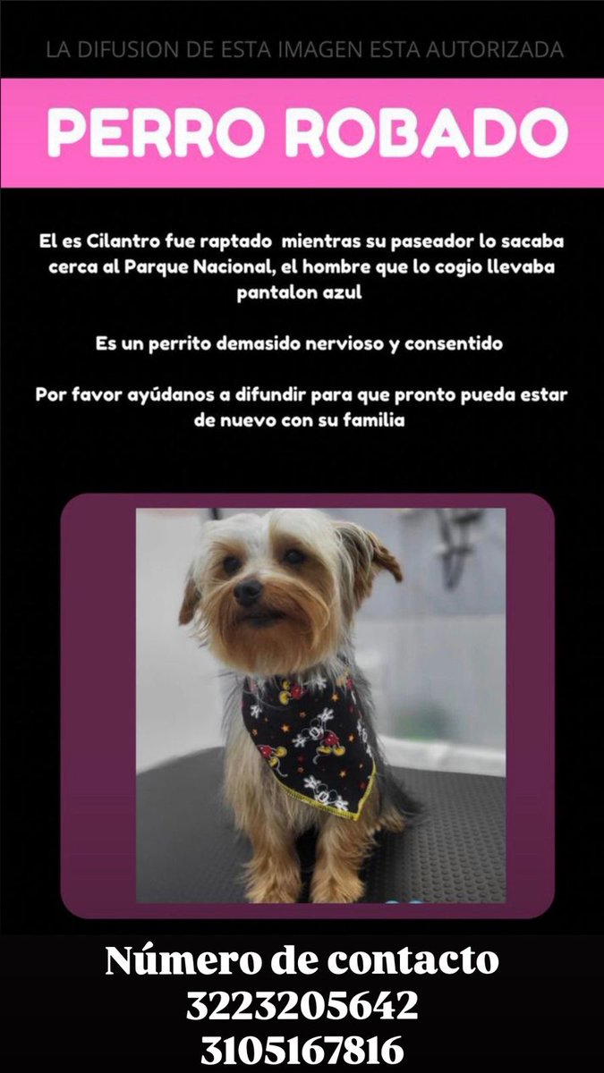 Pasa en Bogotá | Sr Bacca🐮 tweet media