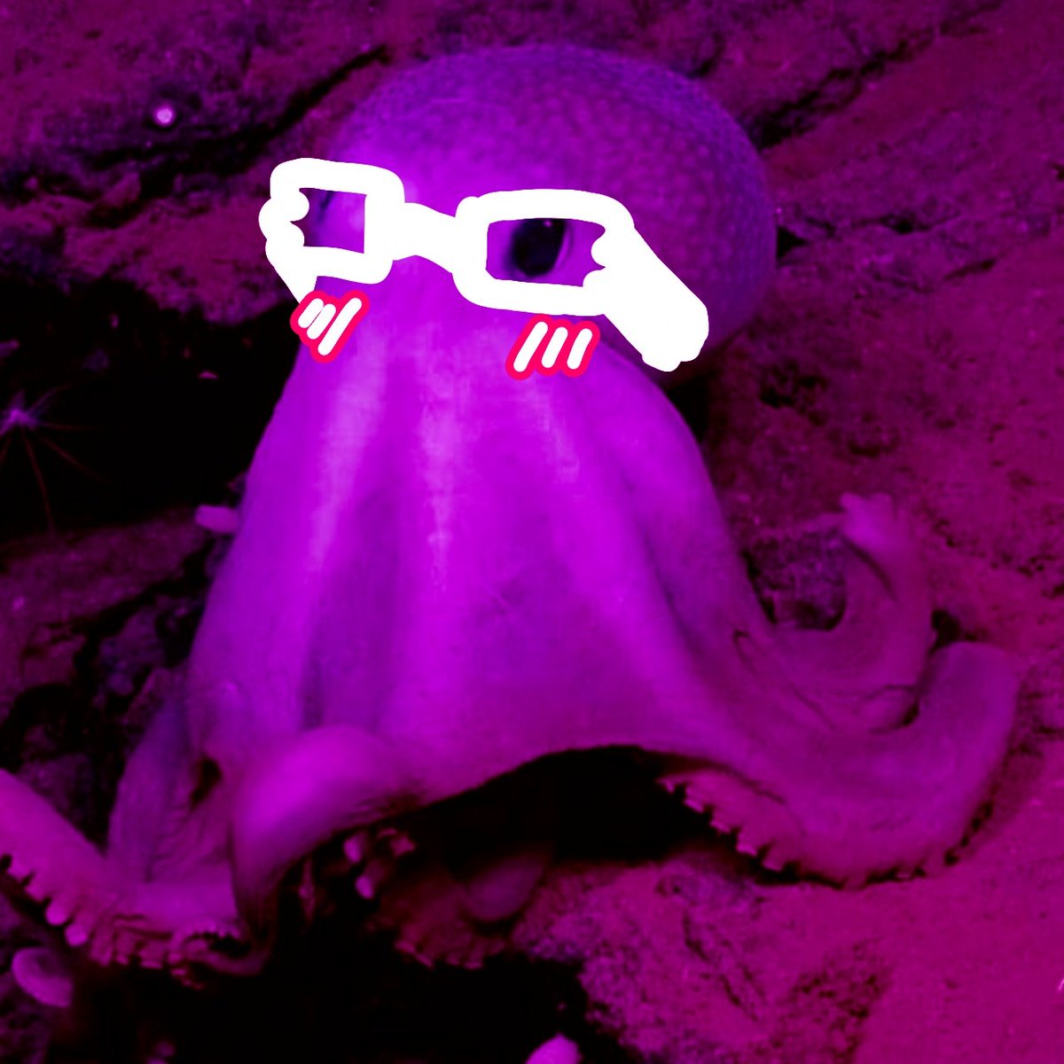 💉ꜱᴢᴀʏᴇʟᴀᴘᴏʀʀᴏ ɢʀᴀɴᴢ💉 tweet media