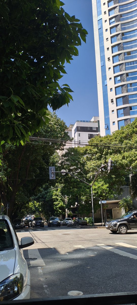 NONOH | seungmin sem coleira 🐶📿 tweet media