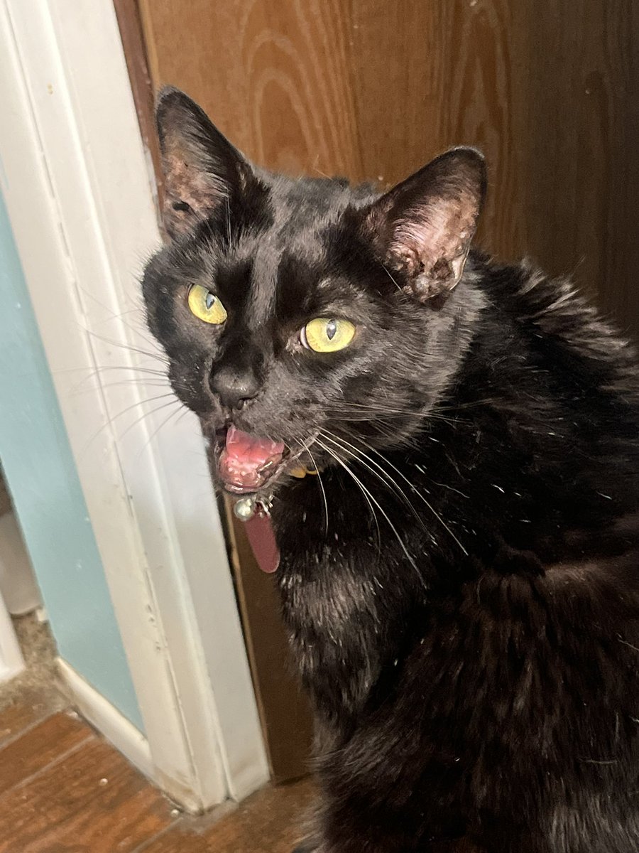 Grace Ashcroft tweet media