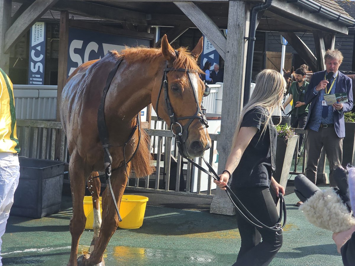 Mike Parcej tweet media