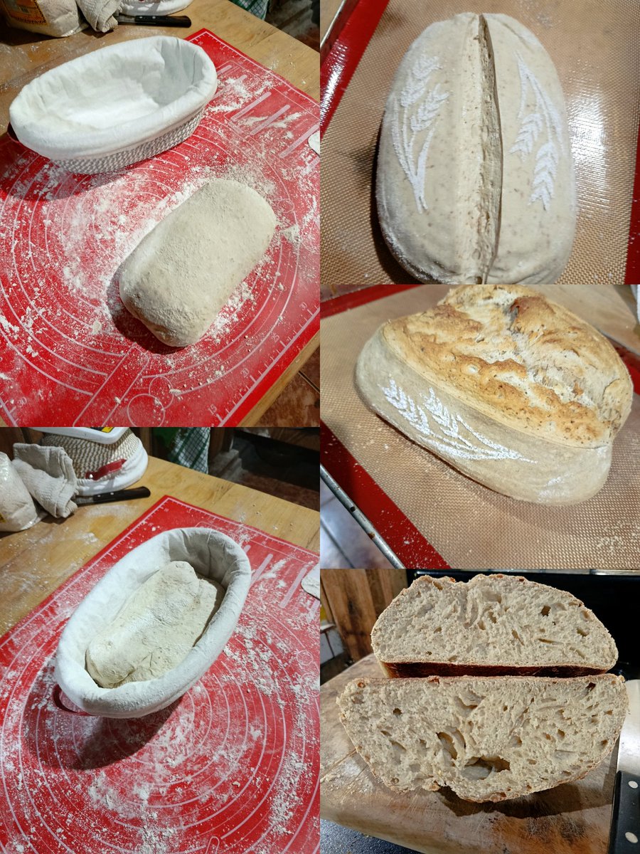 20 horas del inicio al horno, perdida de peso 31%, húmedo, excelente sabor, acidez suave, el pan de masa madre es lo mejor que hay