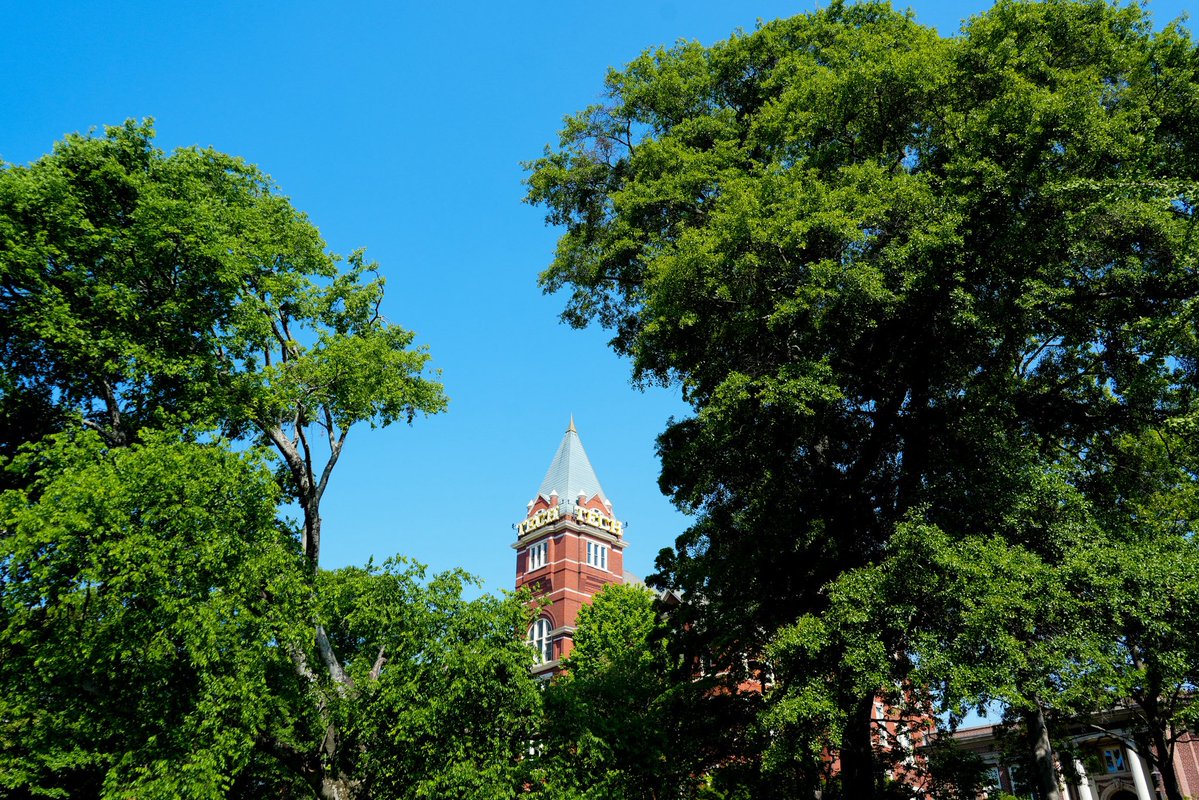 Georgia Tech tweet media