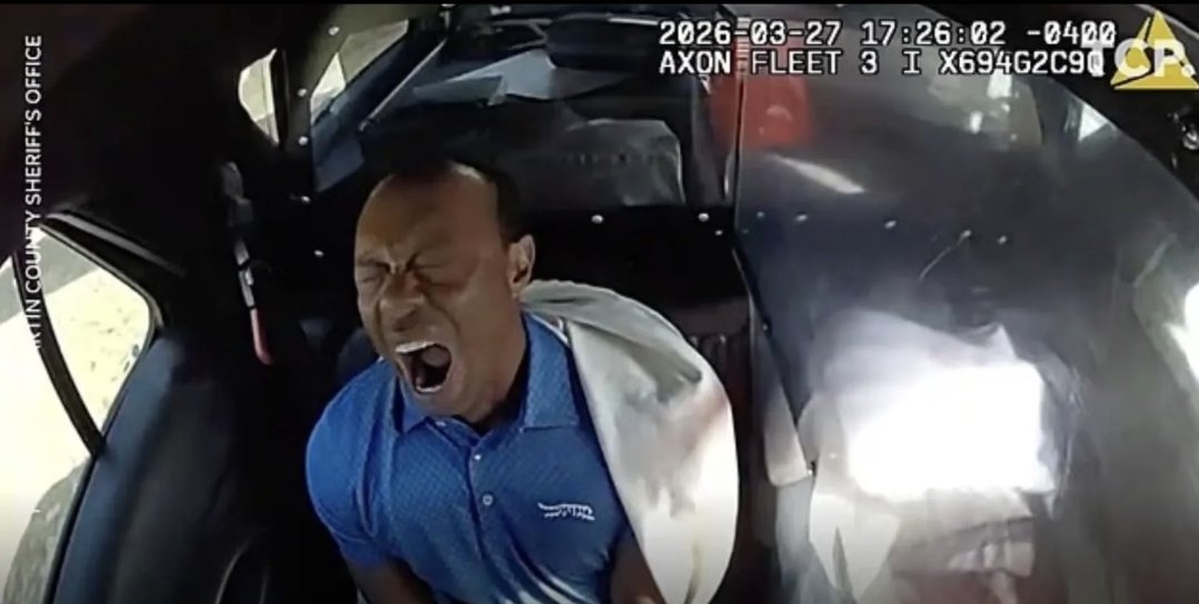 Showtime81 tweet media