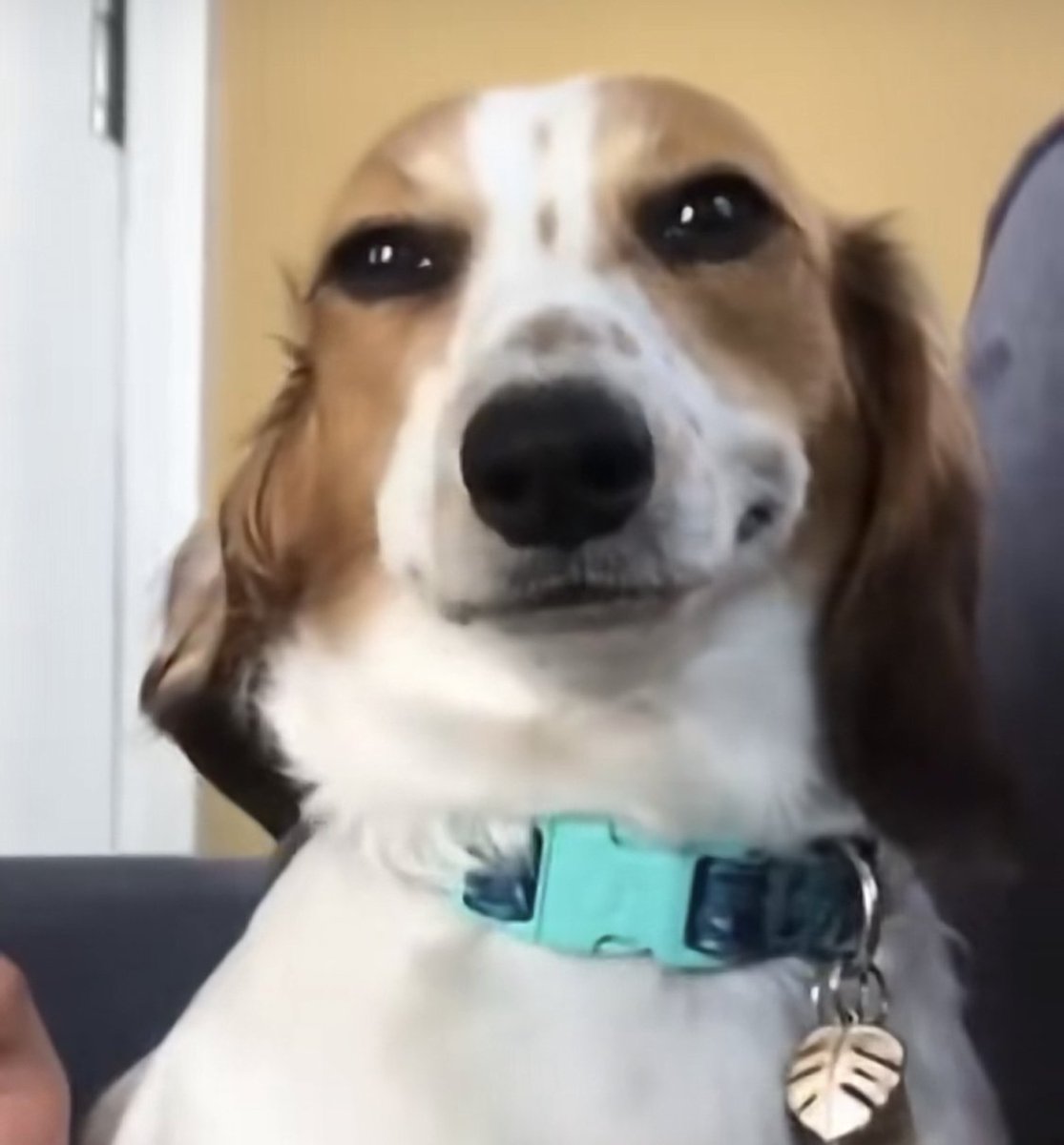 ℕ𝕀ℂℍ𝕆𝕃𝔸𝕊🇺🇬 tweet media