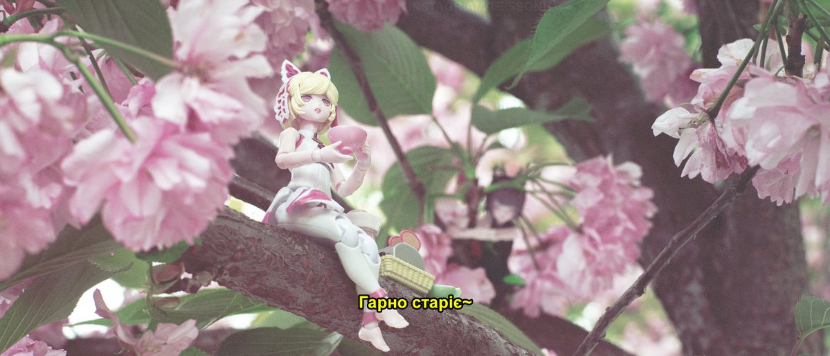 Teisson h 🇺🇦 tweet media