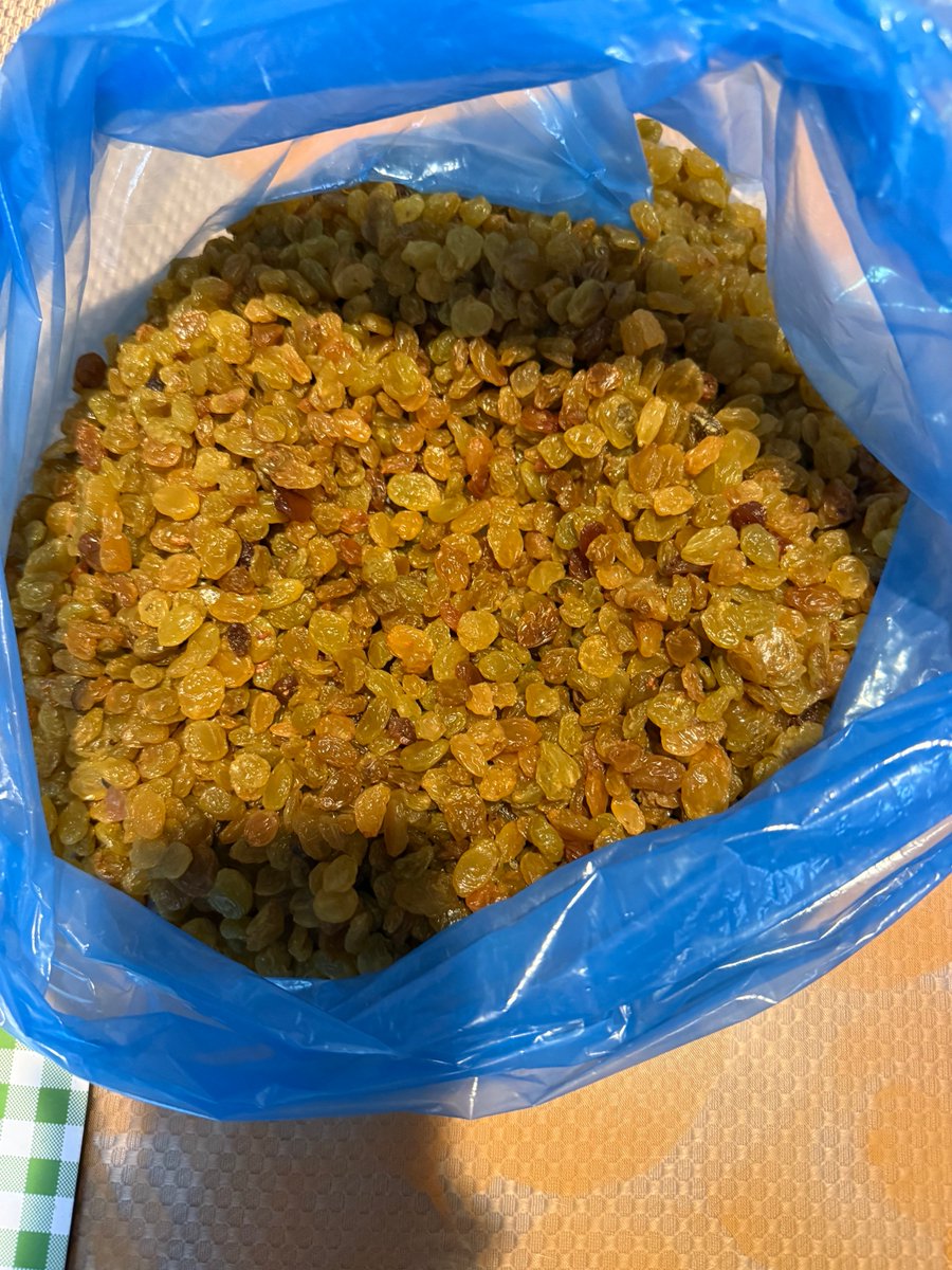 Sammy / サミー tweet media