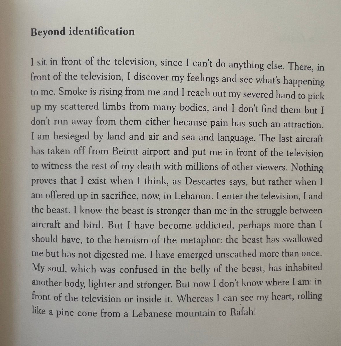 Synekura Audio tweet media