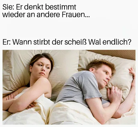 #Meme #Timmy
