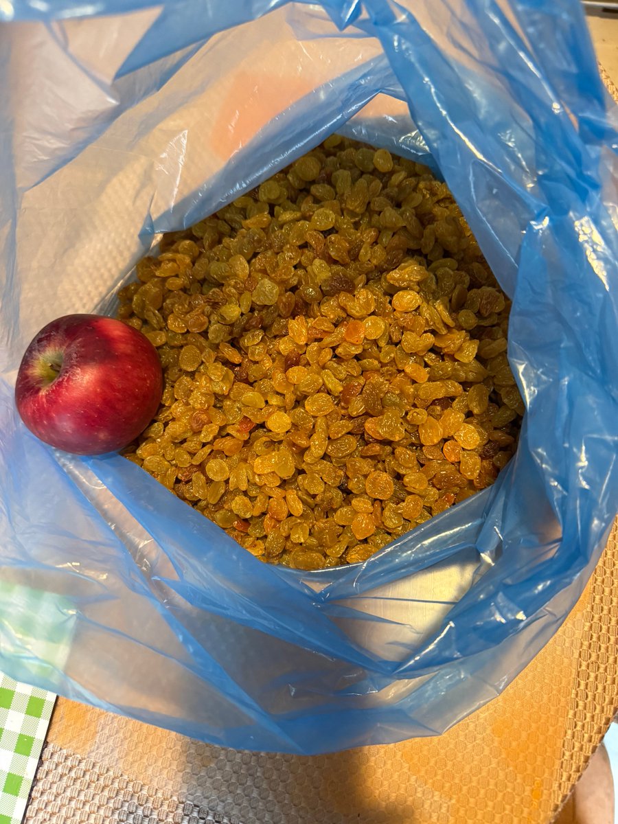 Sammy / サミー tweet media