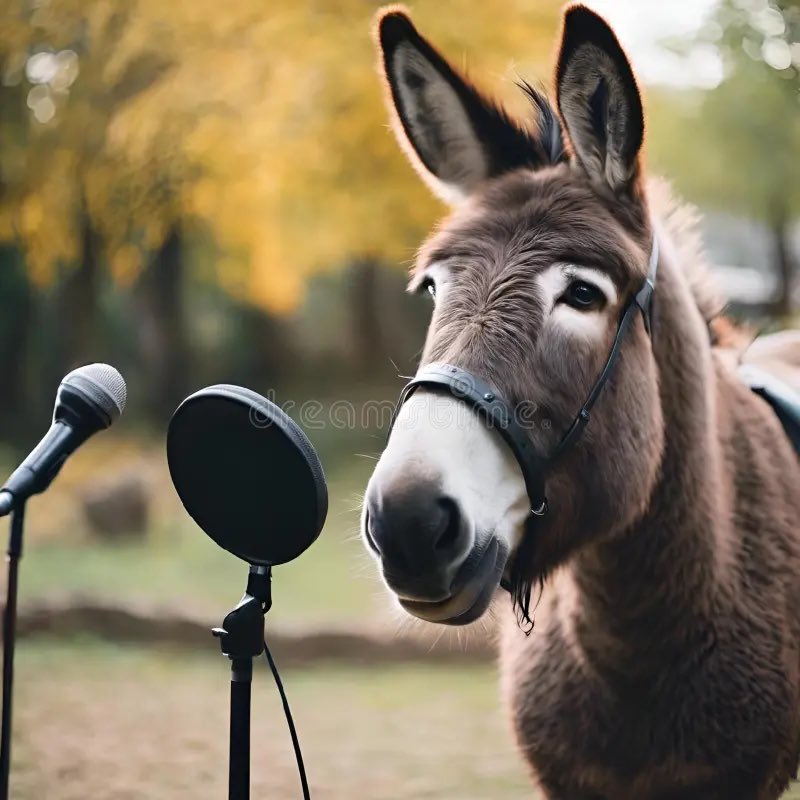 vans 🛹 tweet media