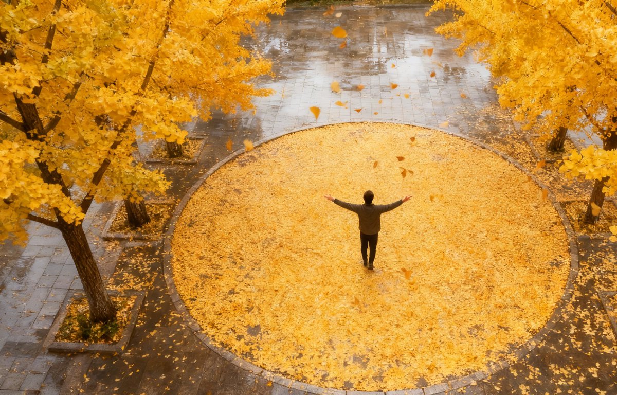 Mehmet Erdem tweet media