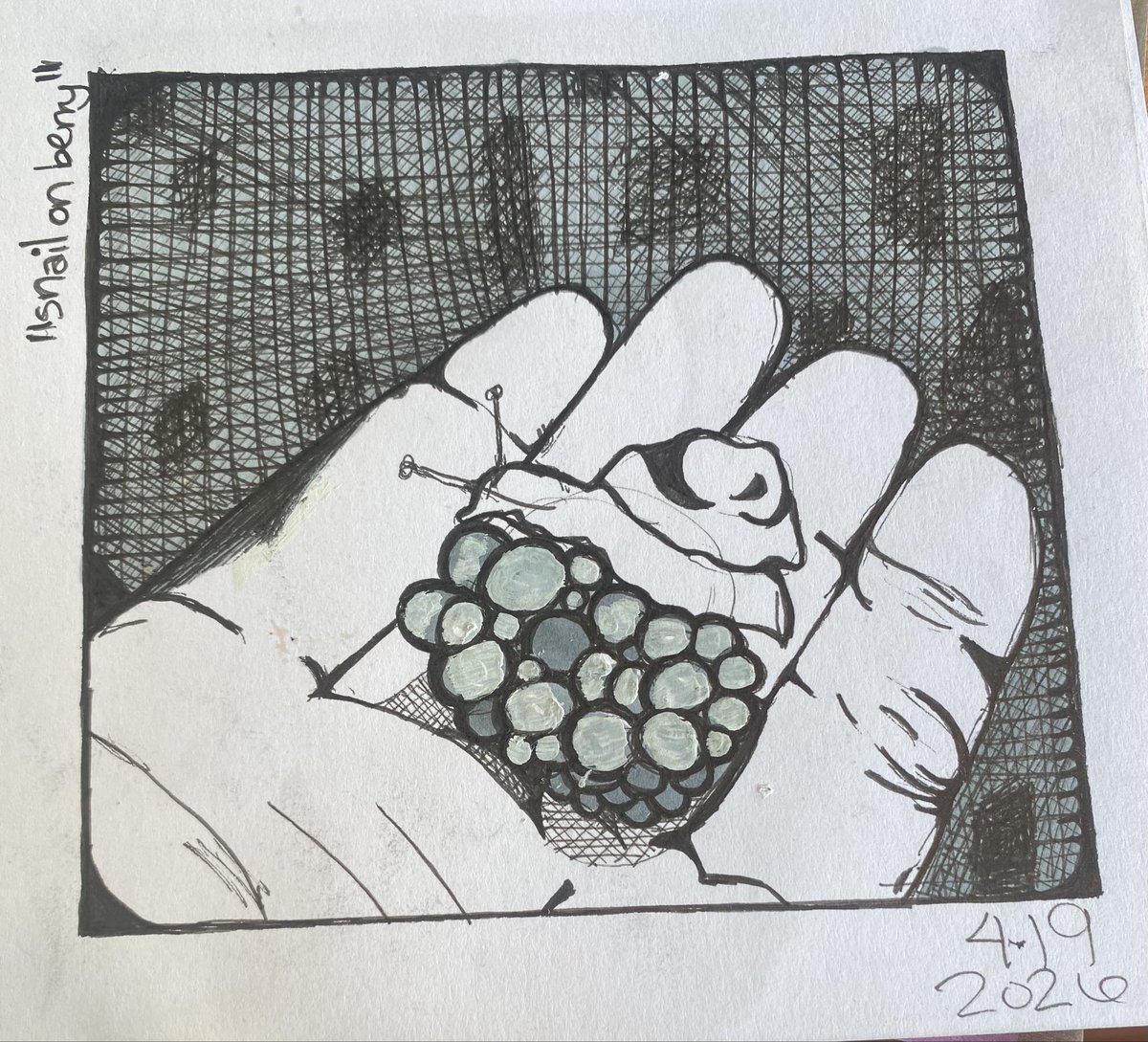 C.the.md tweet media