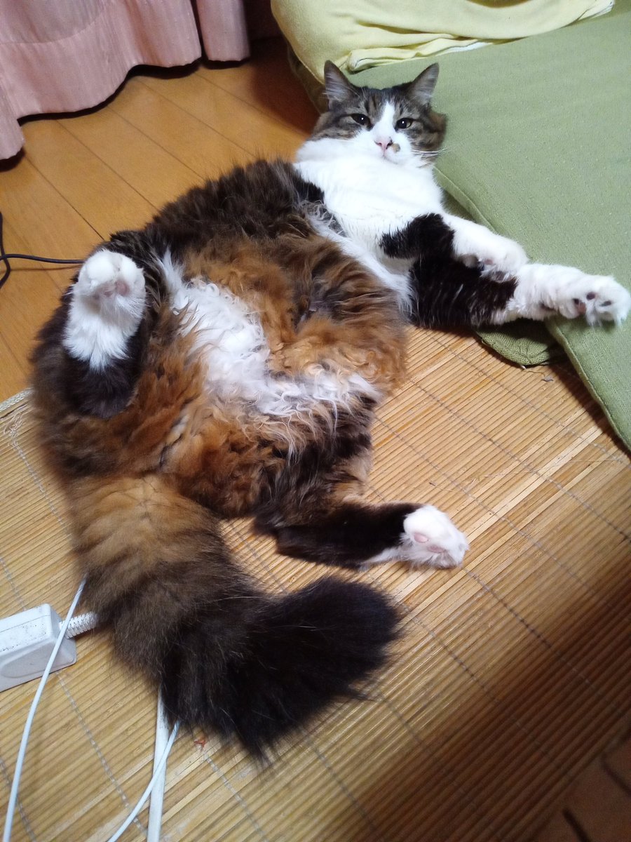 レテやん tweet media