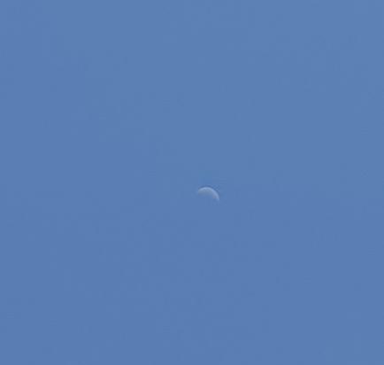 Hola!! 
Luna hoy has madrugado mucho, son las 16:20 😊