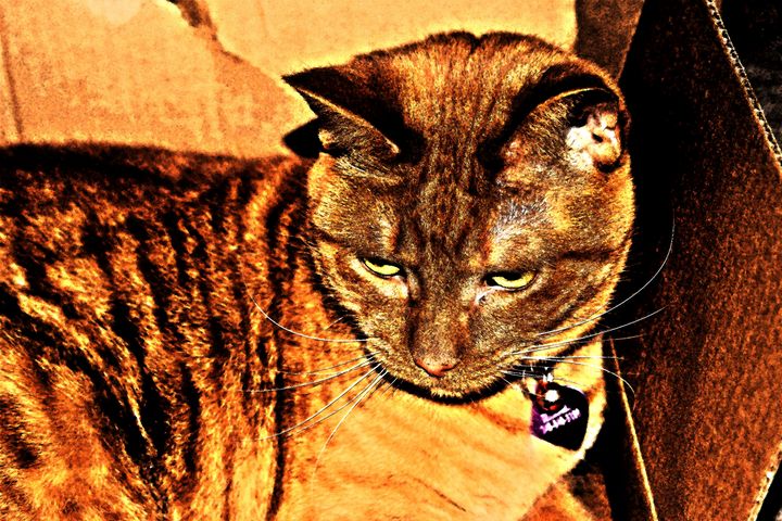 Art of the Day! "Jezebel". Buy at: ArtPal.com/map?i=204591-1
