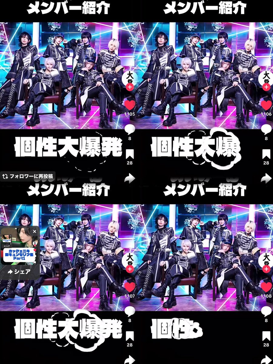 🐾💘 tweet media