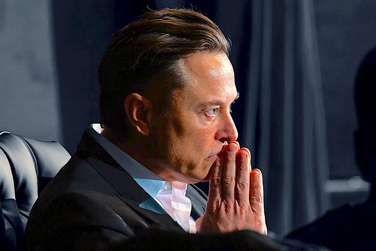 MAGA NEWS tweet media