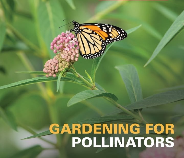 ISUExtStore's tweet photo. Butterflies and bees make gardens better! Plant flowers they love, and you'll see more cool creatures up close — and help keep them safe, too 🦋 🌼 

Start your own pollinator garden ➡️ https://t.co/IkVz6fKarn https://t.co/T3TovxGG5N