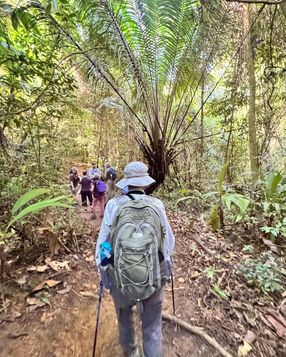 laksventures's tweet photo. 🌳 Barro Colorado Island (BCI) - a humid, “Stairmaster-style” hike through one of the world’s most studied rainforests

And this is just the beginning…

🎥 Full vlog dropping soon! You’re going to want to see this.

#NationalGeographicExpeditions #PanamaCanal #CostaRicaTravel https://t.co/CXdu1PnzEz