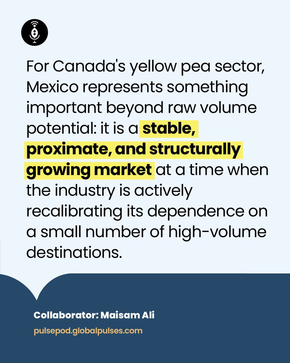 GlobalPulsesGPC's tweet image. After the contraction of the Indian and Chinese markets exposed the risks of buyer concentration, the Canadian yellow pea industry is pivoting toward a more stable horizon.

pulsepod.globalpulses.com/pod-feed/post/… 

#GPC #PulsePod #Pulses #PulseExports
