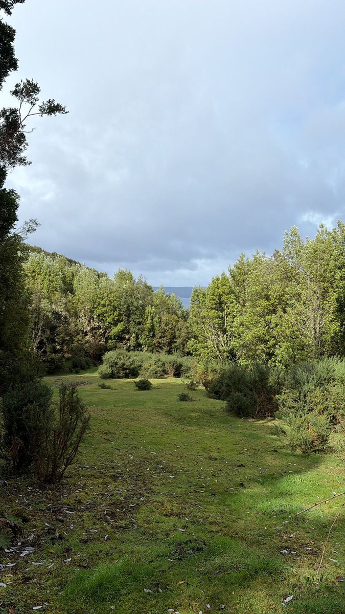 Fernando OG (@fertoff) on Twitter photo 