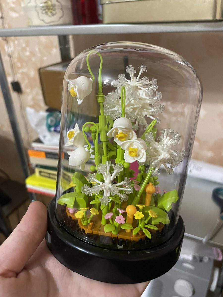 кошечка tweet media