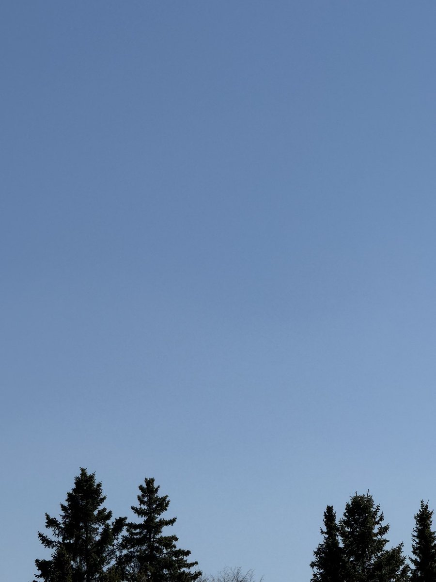 Klimaforschung tweet media