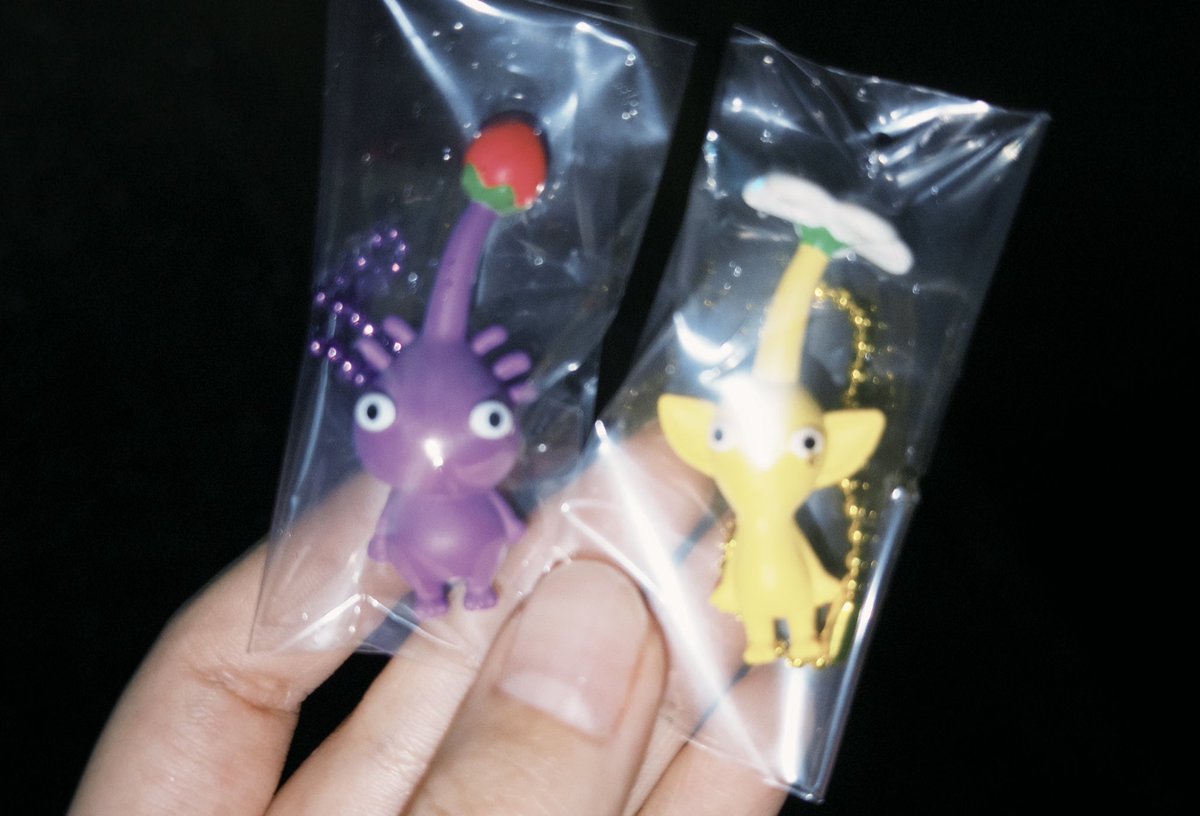 高級猫 tweet media