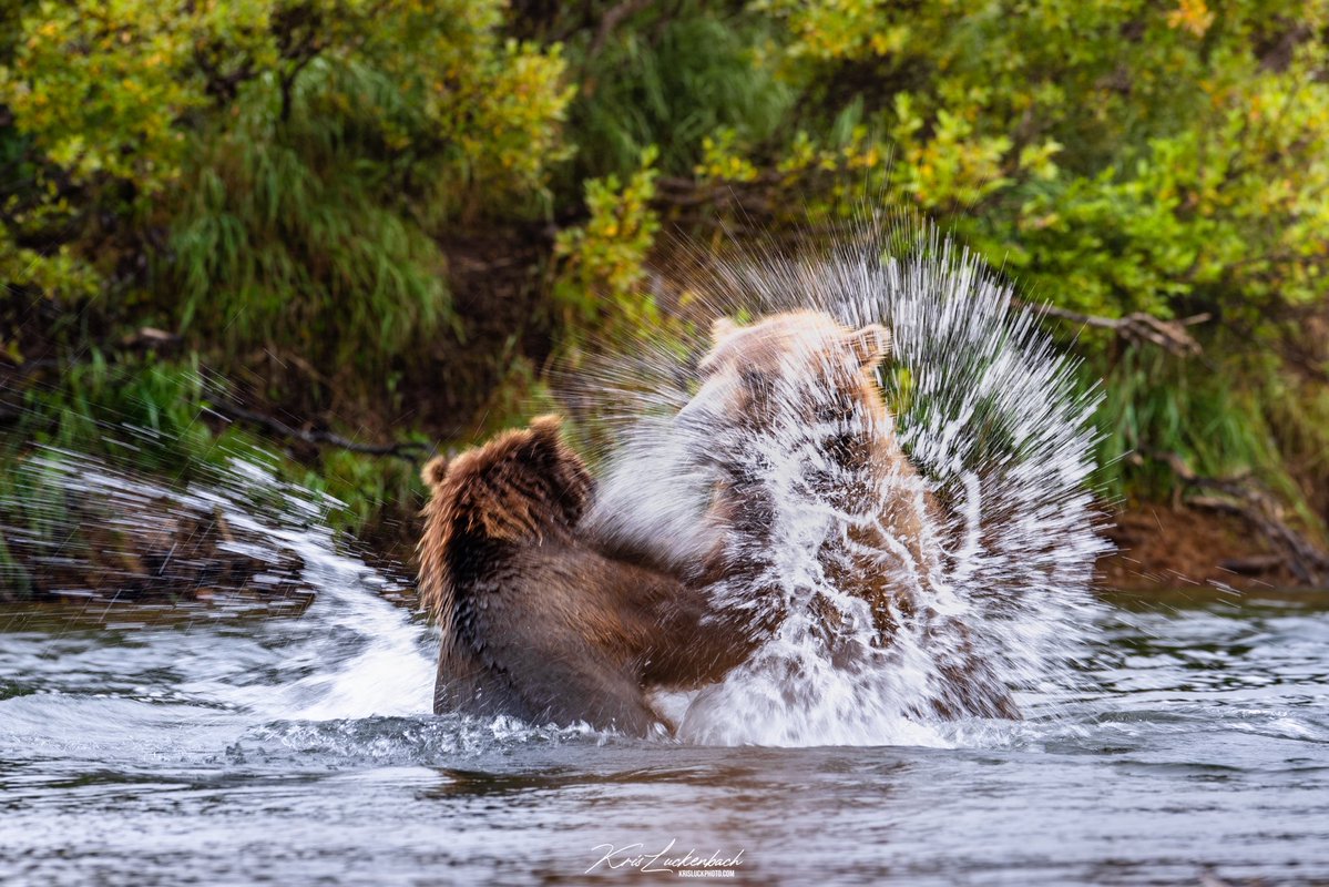 Happy Earth Day 🌎 
-
To think I was once a gamer who spent 16 hours some days sitting in front of a computer monitor... Now, I can't get enough of this world.
We are meant to explore it, live it, and most importantly protect it.