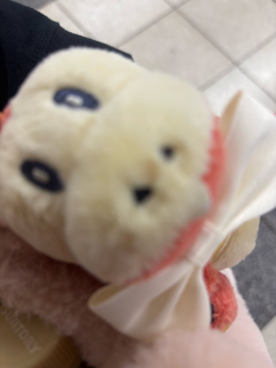 わさびちゃん🤍ギルド横浜 関内 コンカフェ tweet media