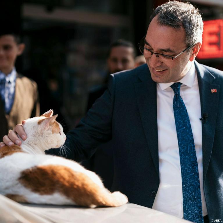 Engin Koyuncu tweet media