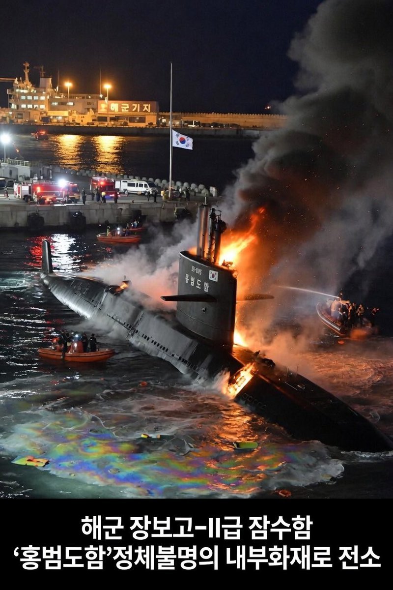 썩은세상 🐳 tweet media