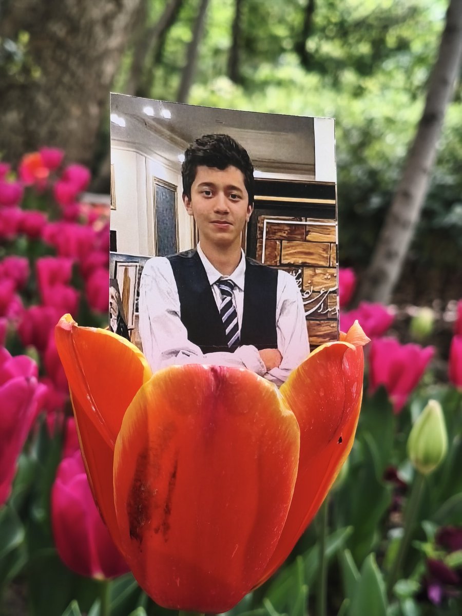 🤍Sina Ashgbousi🤍 tweet media