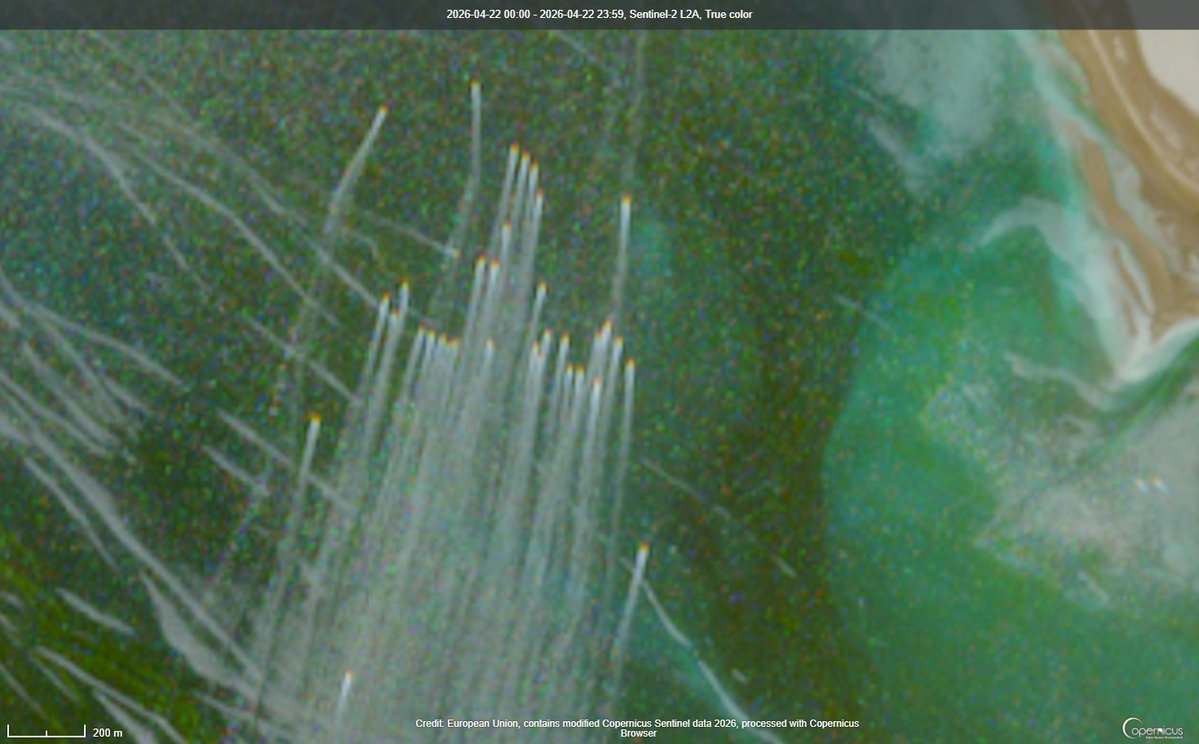 Mehdi H. tweet media