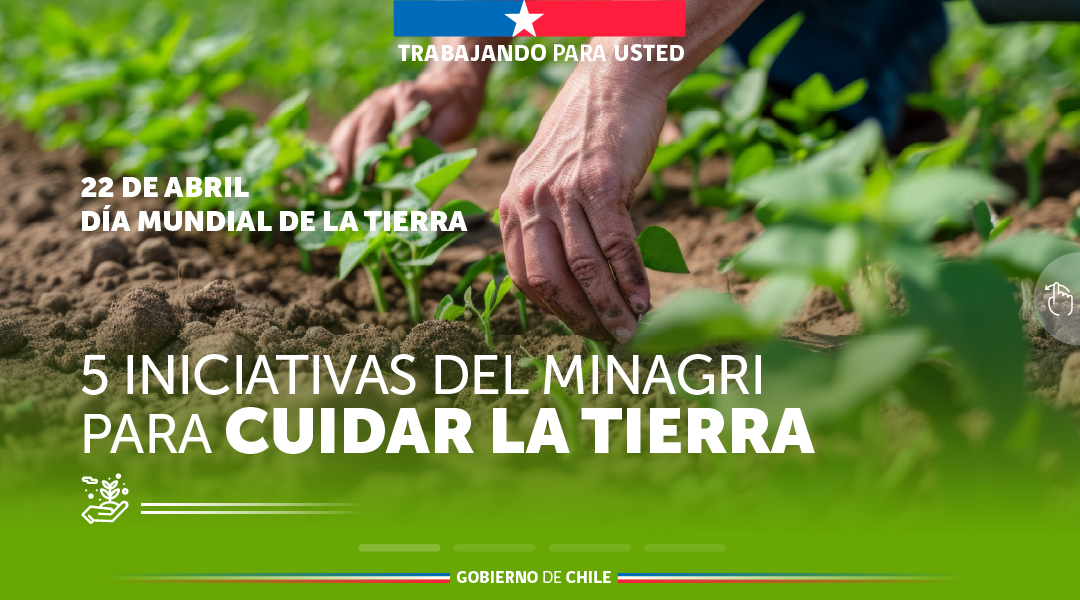Ministerio de Agricultura de Chile 🇨🇱 tweet media
