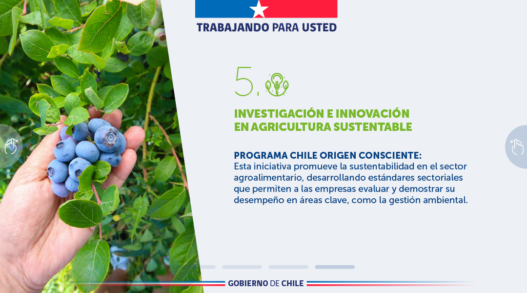 Ministerio de Agricultura de Chile 🇨🇱 tweet media