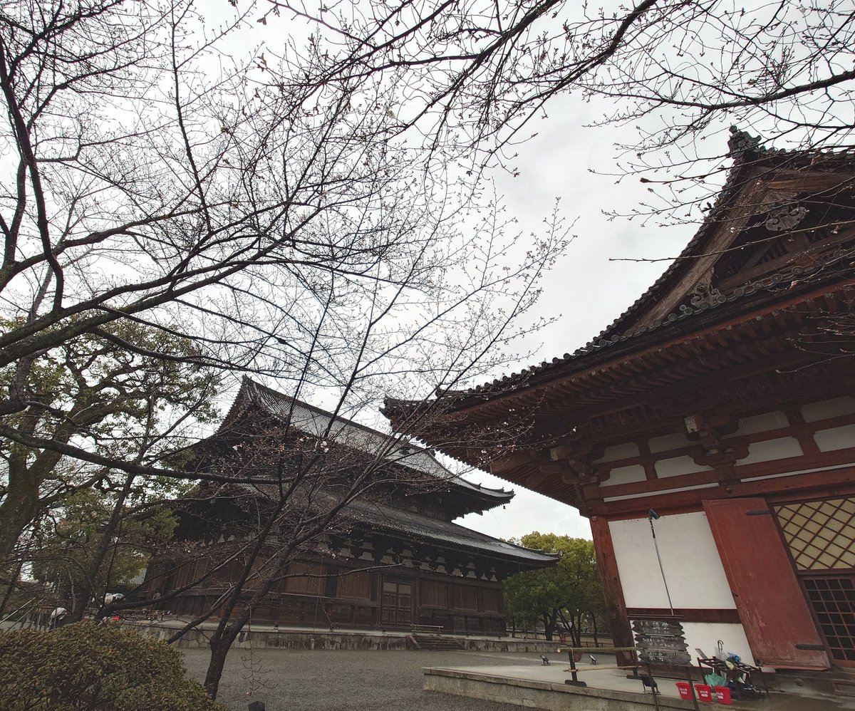 tk_louve's tweet photo. 足を伸ばして東寺さんにも御詣り

講堂の立体曼荼羅と金堂の薬師三尊、どちらも圧倒されるような見事さで いつまでも見ていたいような離れがたい感覚になるのが不思議だった

#東寺
#教王護国寺　
#立体曼荼羅
#薬師三尊
#五重塔
                 https://t.co/Rw81w1boGy https://t.co/JqJOgIIXbf