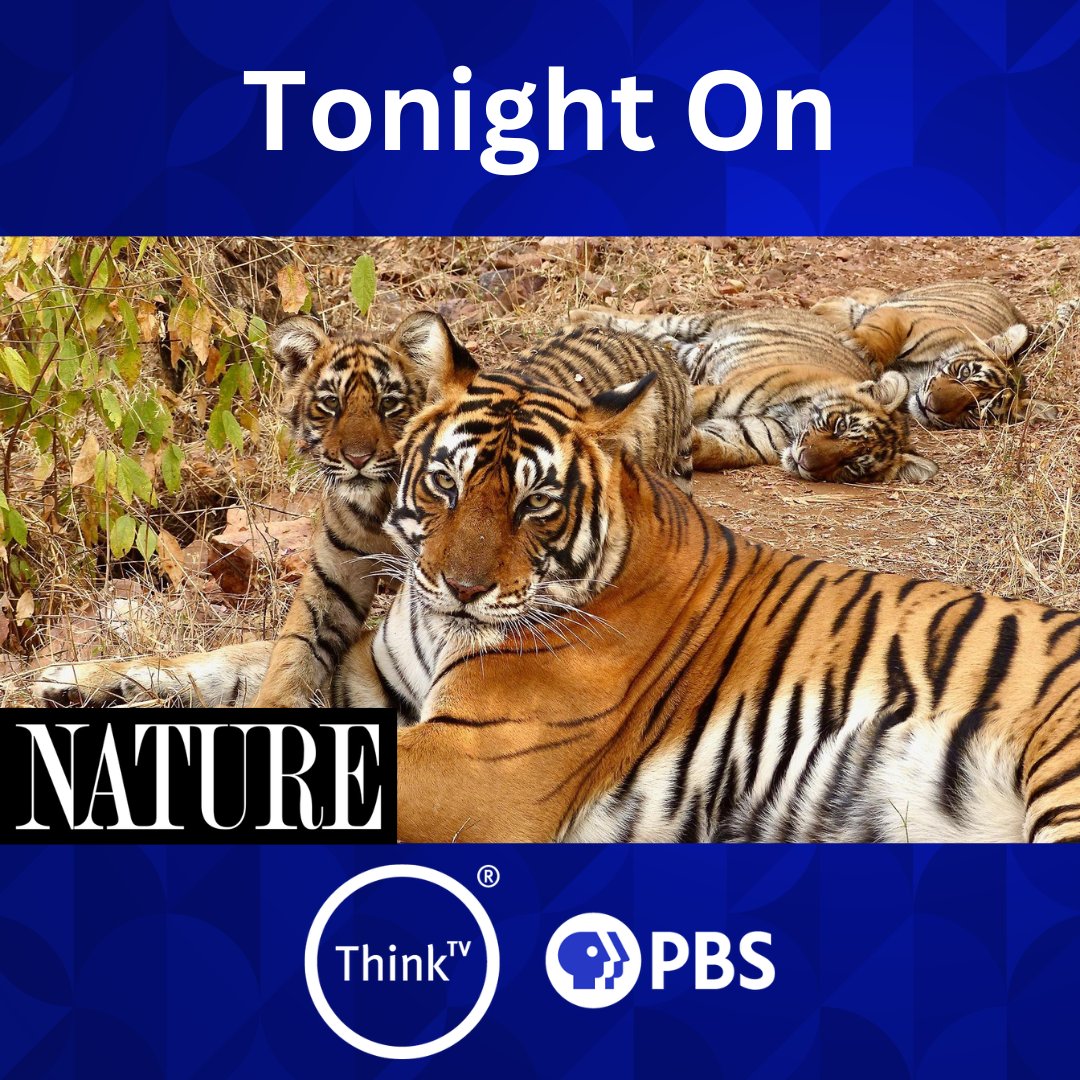 ThinkTV tweet media