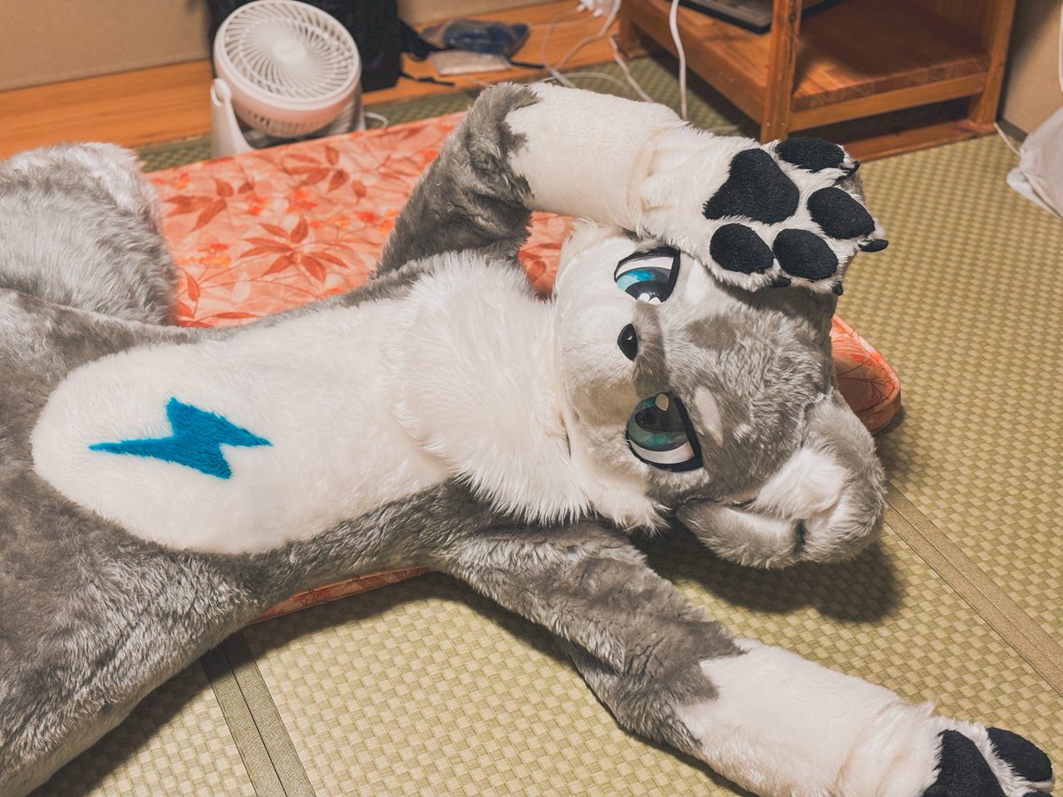 まつぼっこり🍤 tweet media