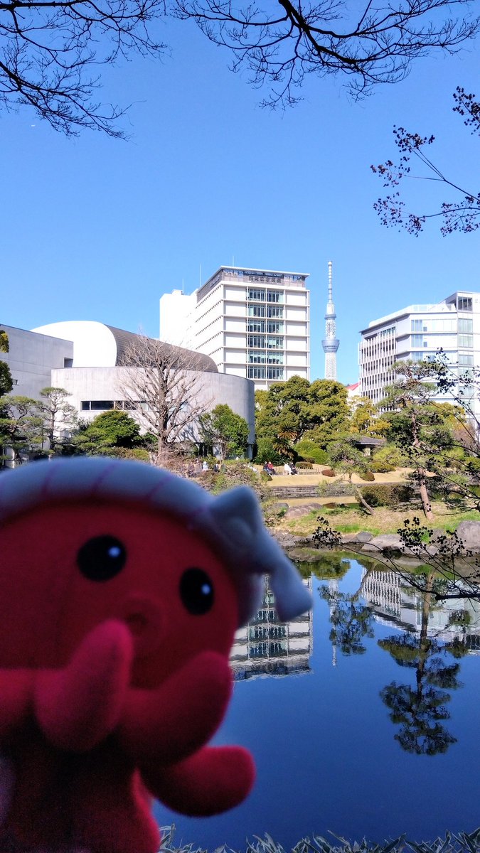 東海ポンタ☆2016 tweet media