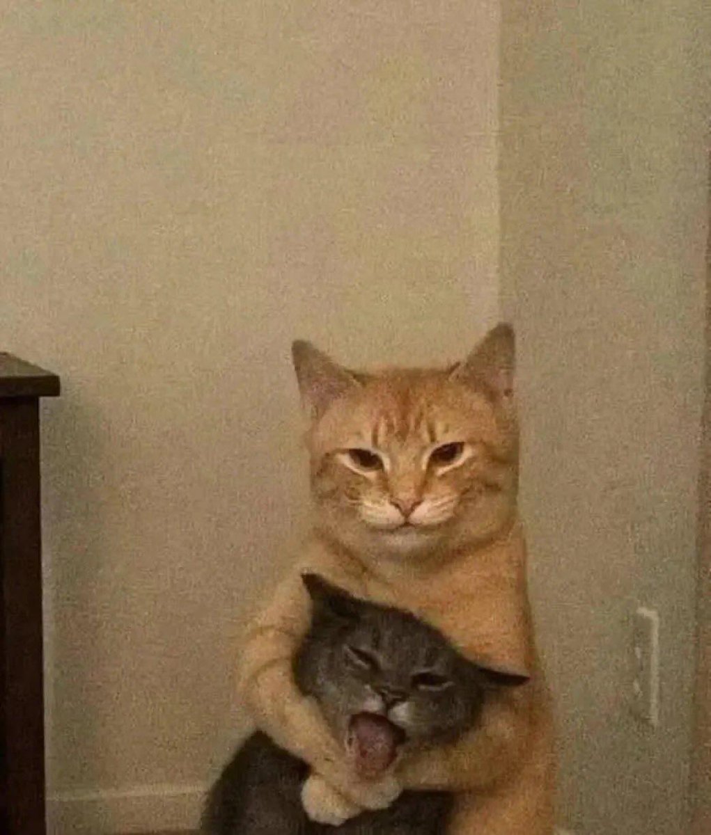 디얀 유디스티라 tweet media