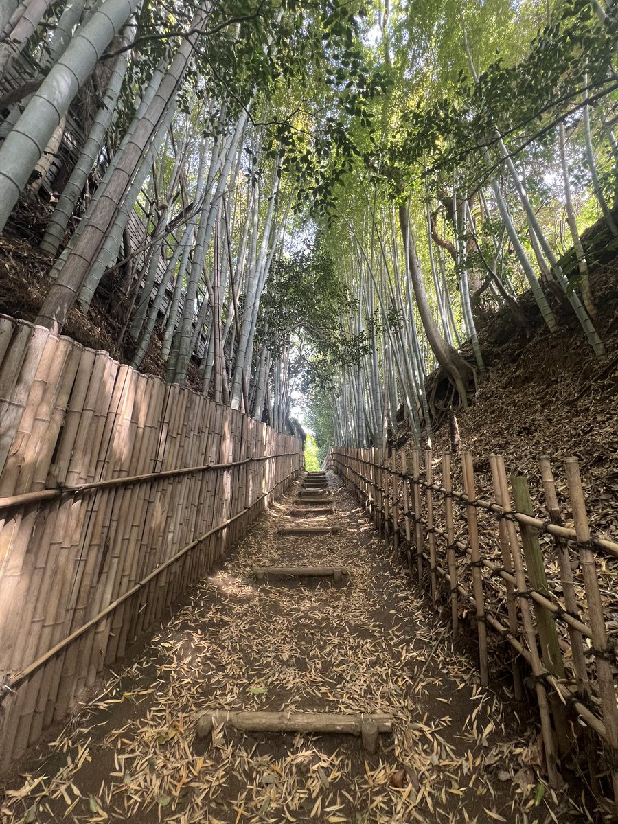 フウ🕸🕷 tweet media