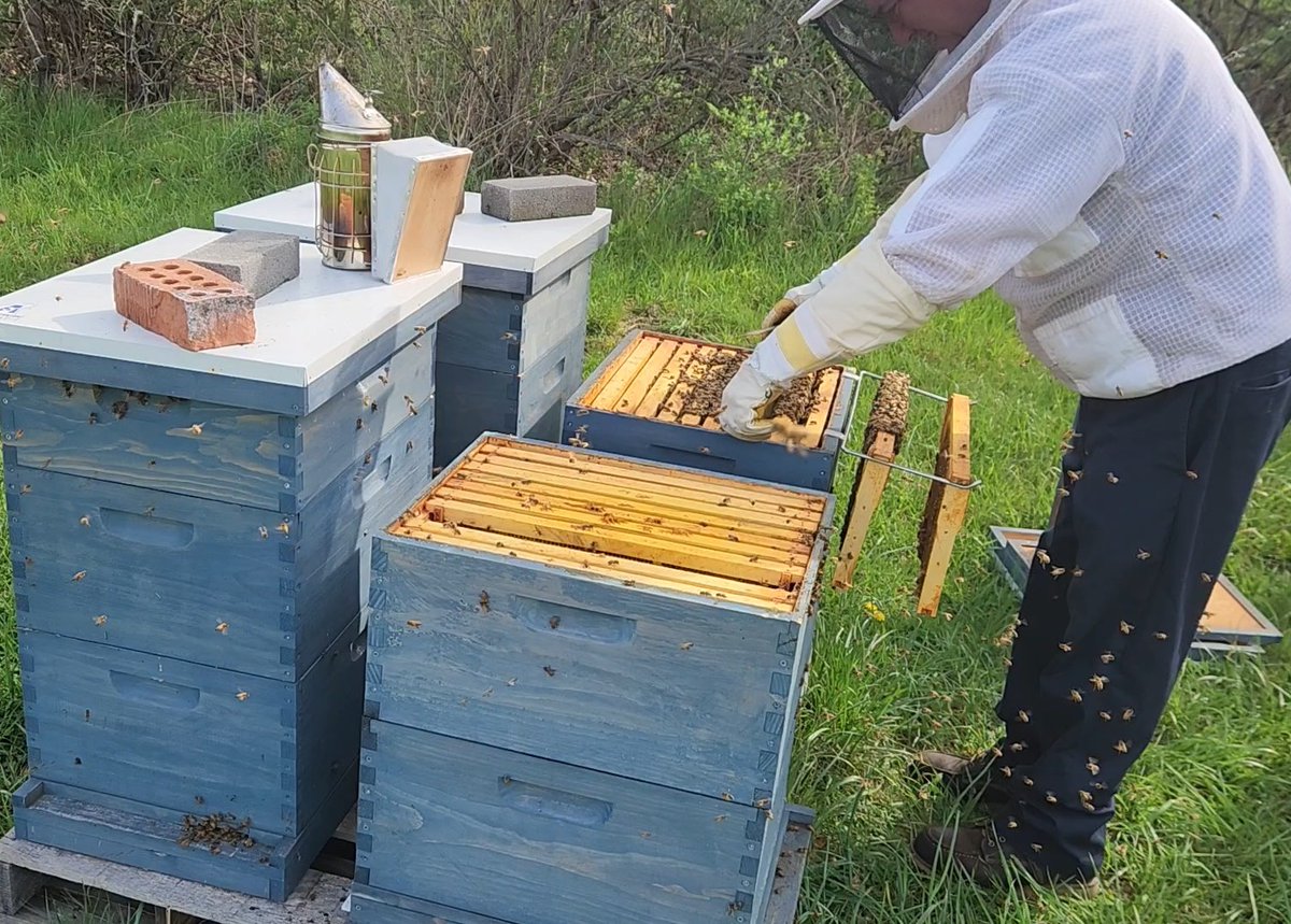 Happy Earth Day from Akron-Canton Airport! 🌎 Sustainability is a core part of how we operate, including 104 on-site hives with more than 7 million bees, supported by our Environmental Services team.

This initiative reflects our ongoing commitment to protecting pollinators,