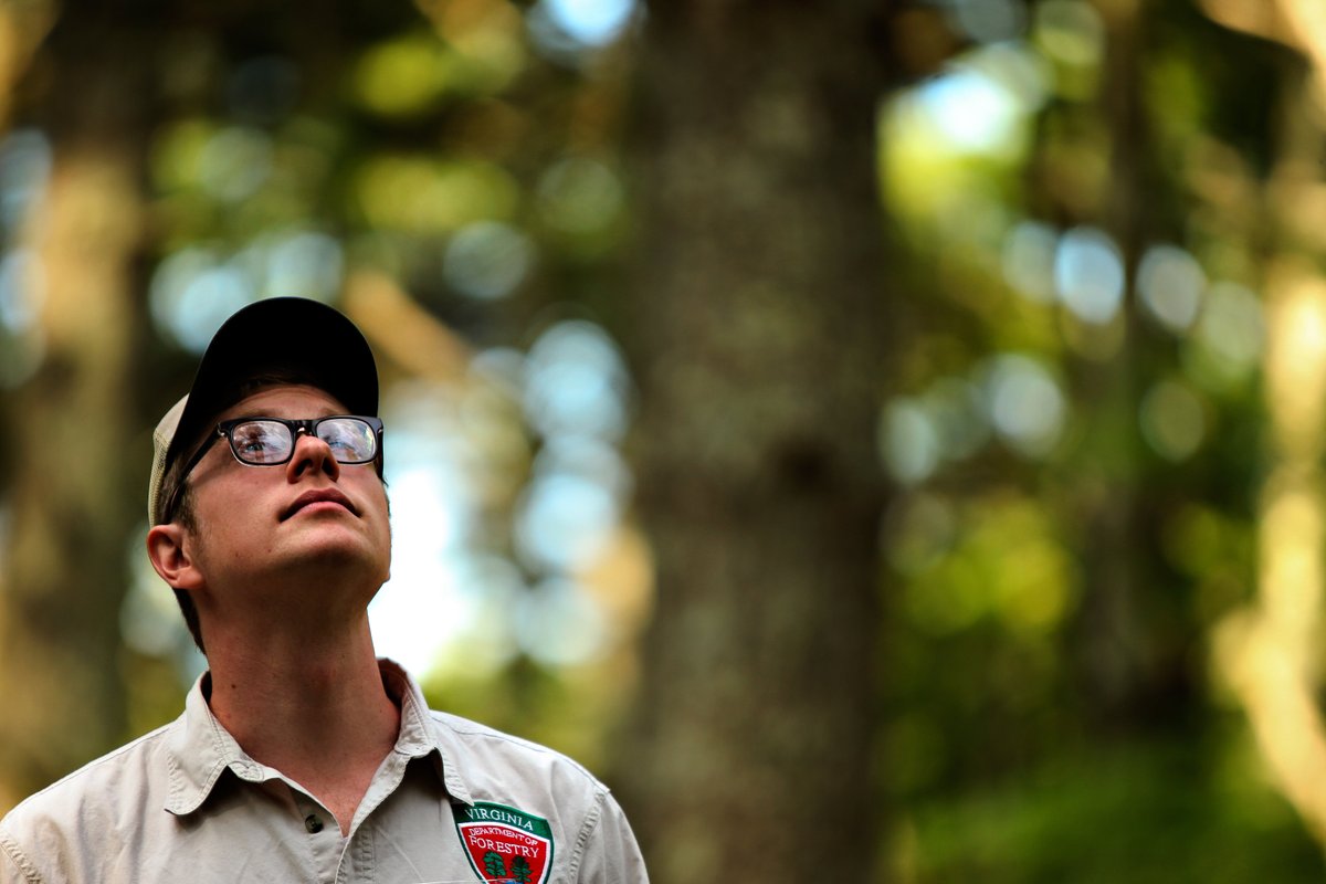 State Foresters tweet media