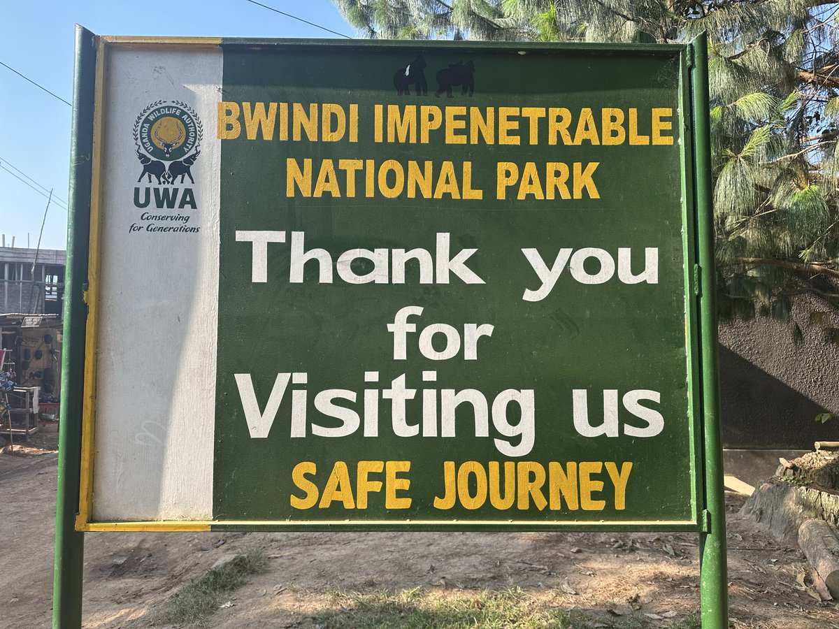 S2GTours's tweet photo. Women Crush Wednesday in Bwindi Impenetrable National Park 🇺🇬 — celebrating strong, adventurous women on an unforgettable gorilla trek.

Plan your adventure 📲 https://t.co/geKKjXJ6pK #WCW #GorillaTrekking https://t.co/FIR3oWqrHl