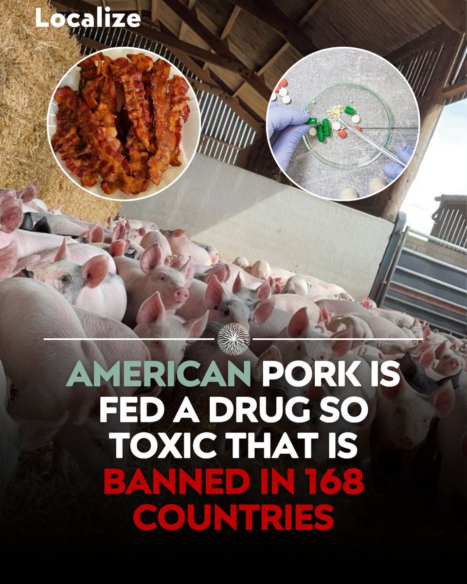 Zephyr Zoidis tweet media