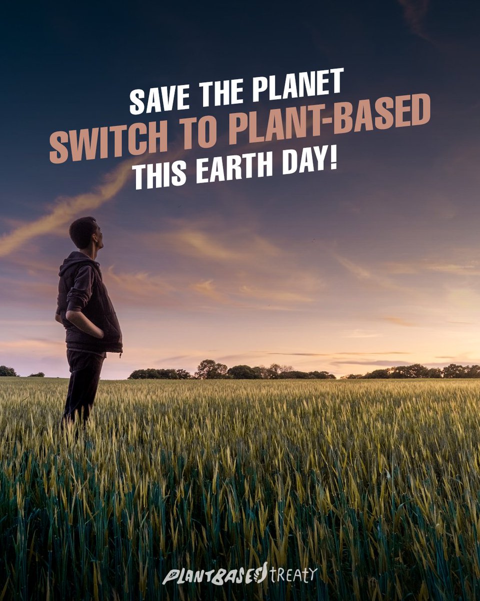 Plant Based Treaty tweet media